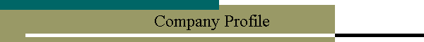 Company Profile